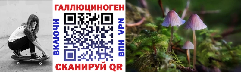 Псилоцибиновые грибы Cubensis  ссылка на мегу tor  Всеволожск 
